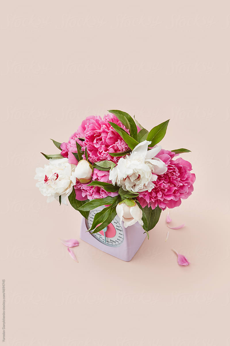 Bouquet of pink and white peonies on vintage scales.