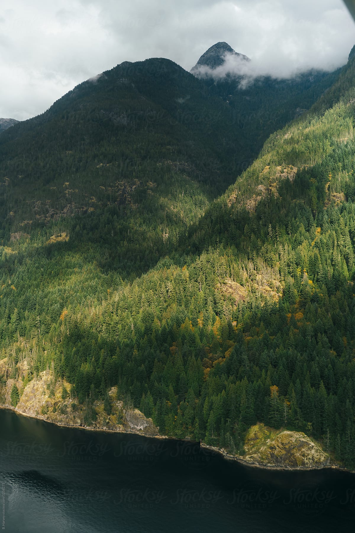 Aerial View From Seaplane in British Columbia