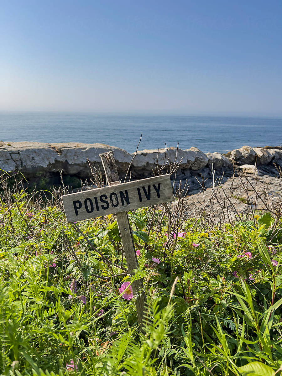 Sign for Poison Ivy on Coast of Maine