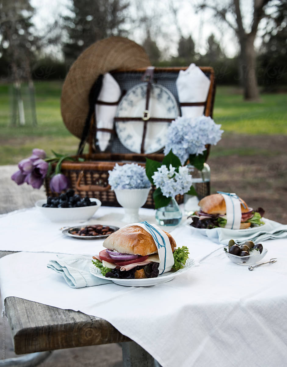 Romantic Vintage Style Picnic In A Park With Vintage Blue Theme Picnic Basket. by Rhonda Adkins