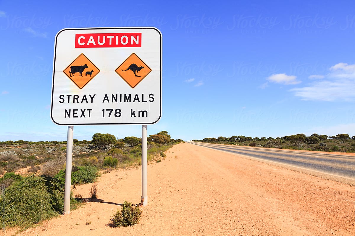 Warning sign on the Nullarbor Plain. Western Australia.