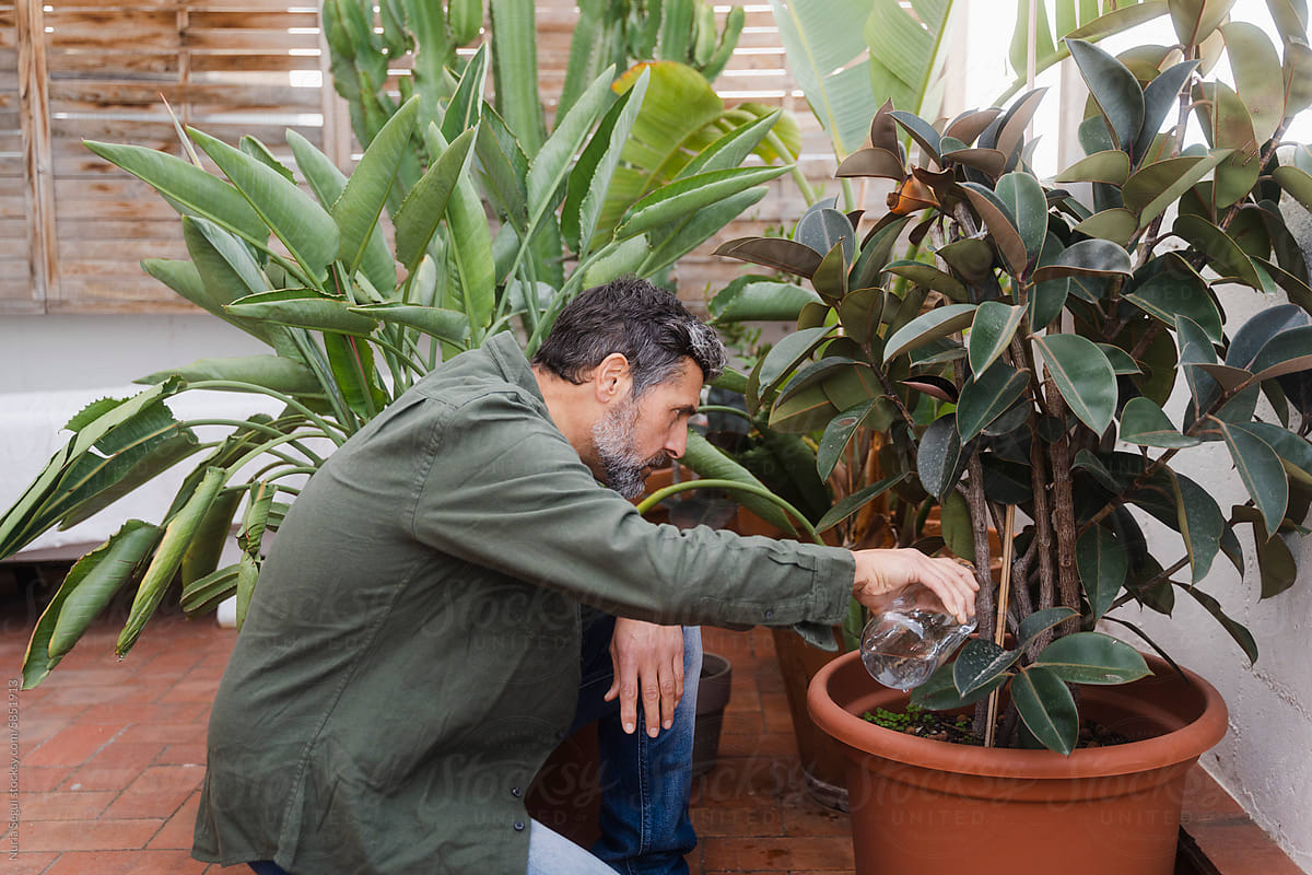 Man Caring For Plants