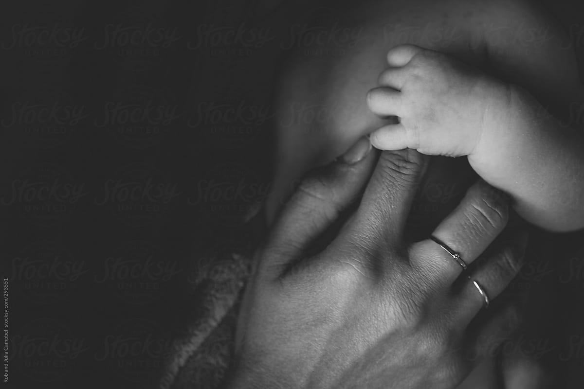 Download Close Up Of Baby Hand Holding Mothers Finger By Rob And Julia Campbell