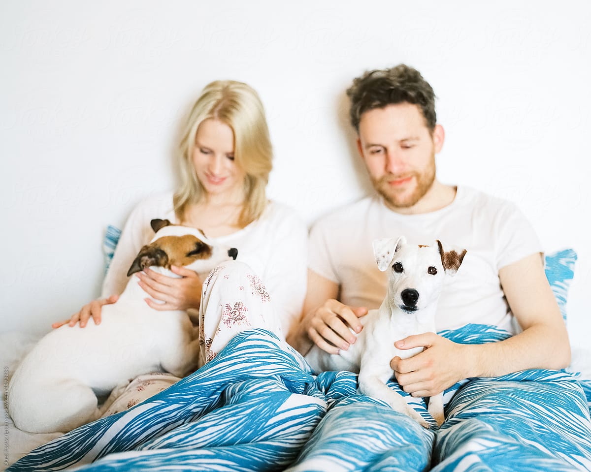 Couple with their dogs in the bedroom