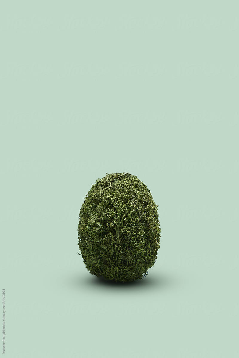 Single handicraft Easter egg made of moss.