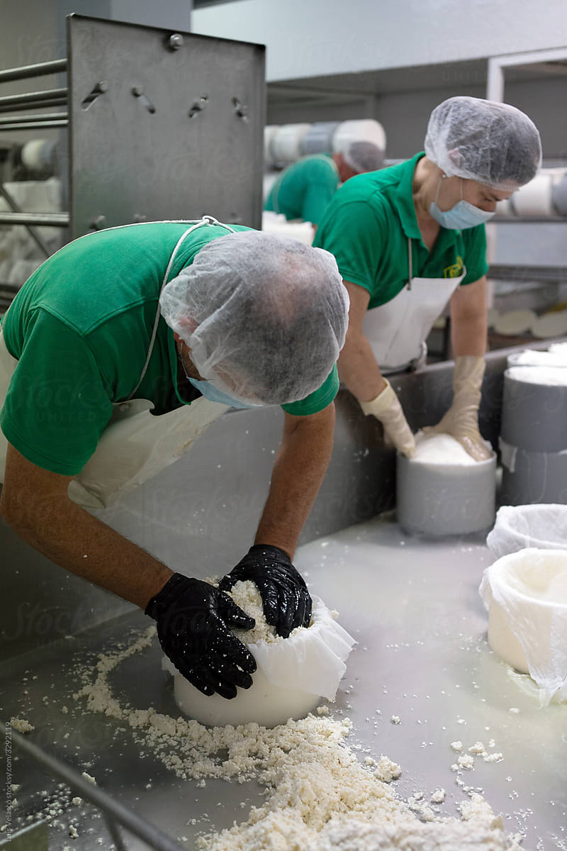 Workers Inside A Cheese Factory.