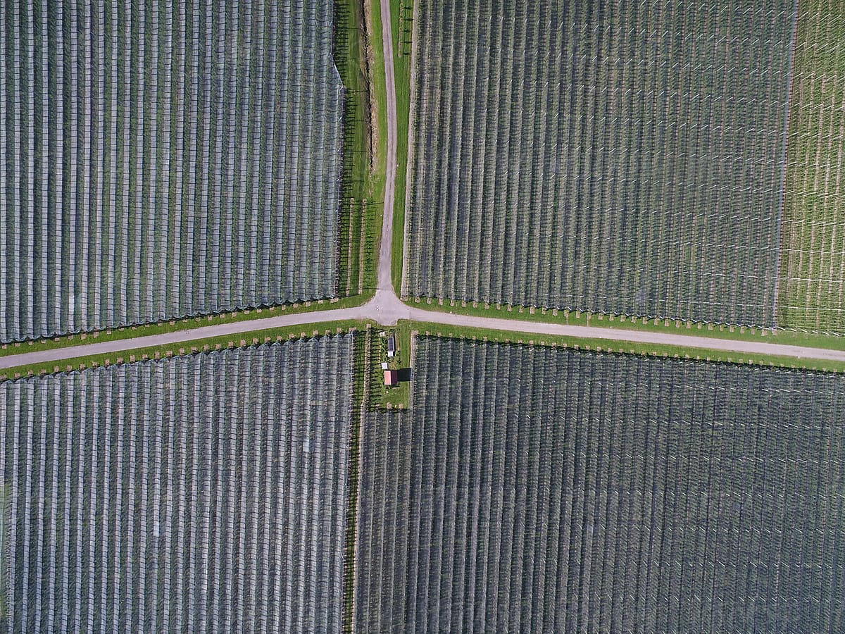 Aerial view of hail nets on apple orchards
