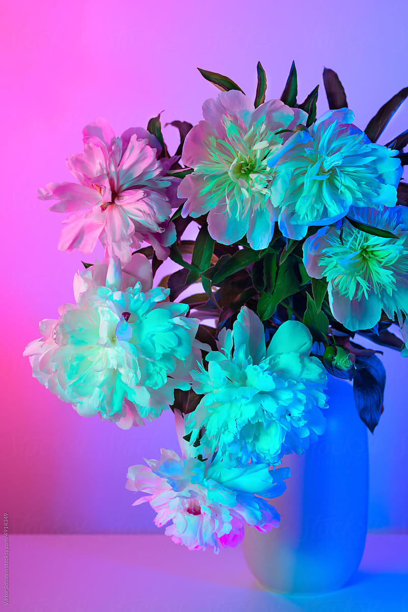 Blue peony flowers in vase in neon studio light