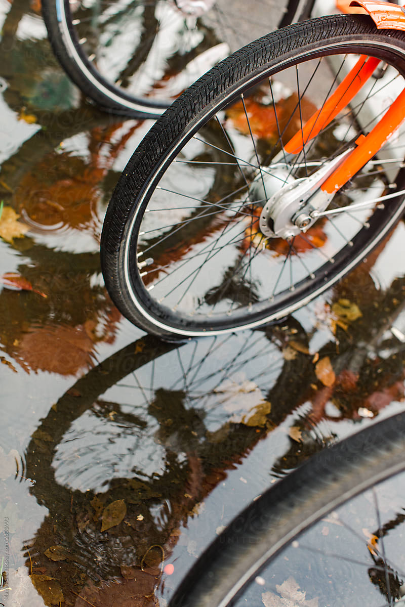 Bicycle Wheels in Puddle