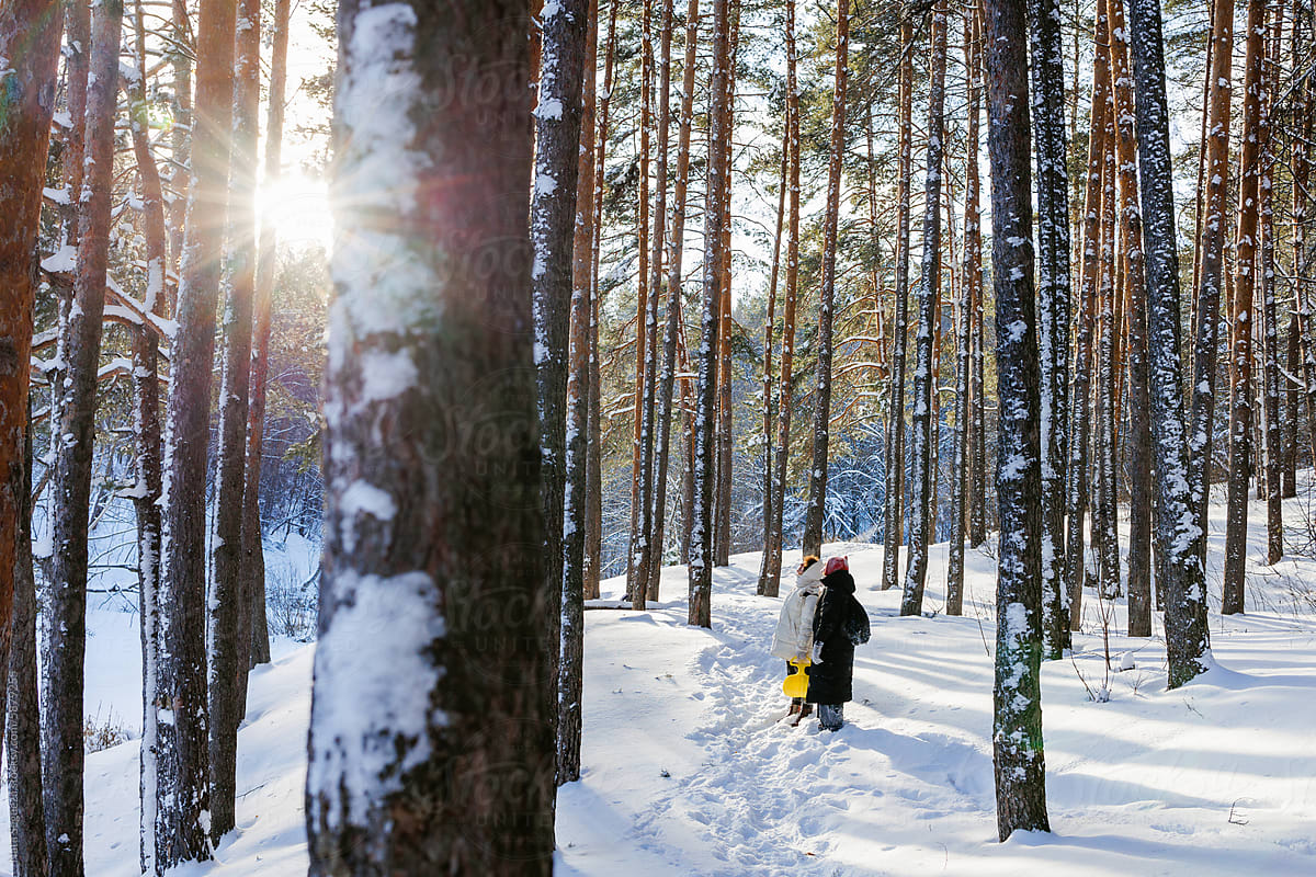 Girls walking in the winter forest