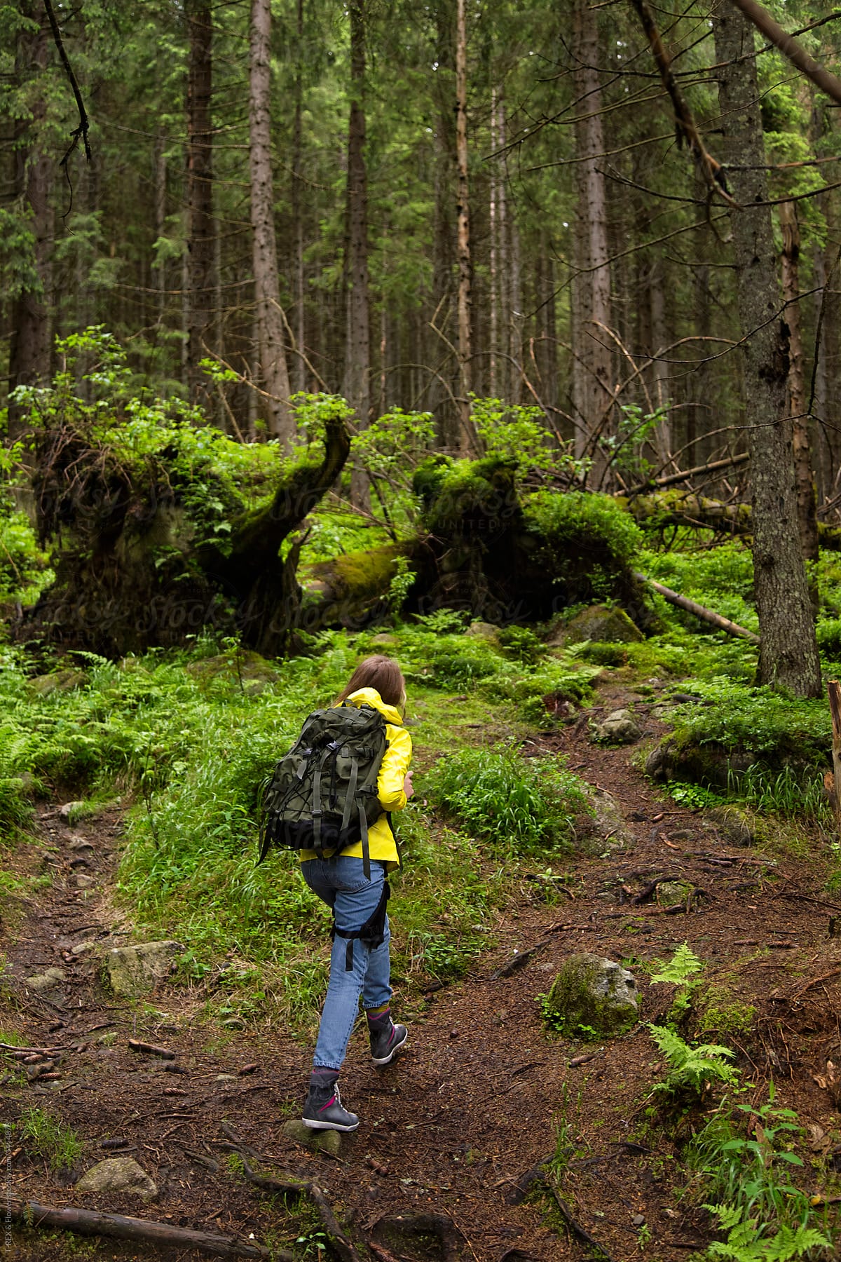 Female backpacker in forest