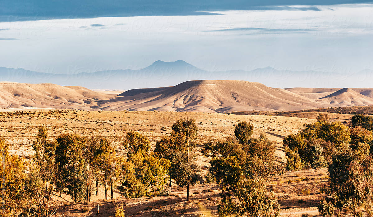 Sunny Moroccan Stone Desert Panorama