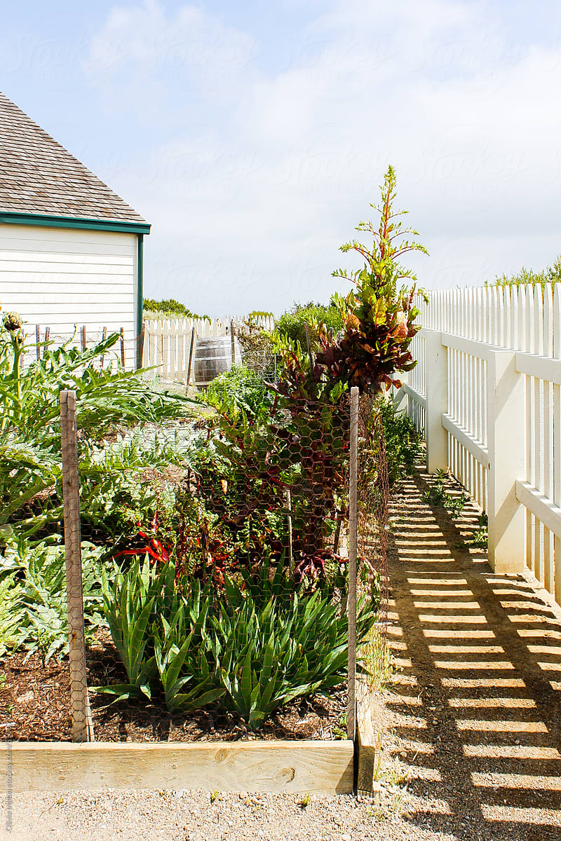 California Garden with Raised Bed Planters and Chicken Wire Fence