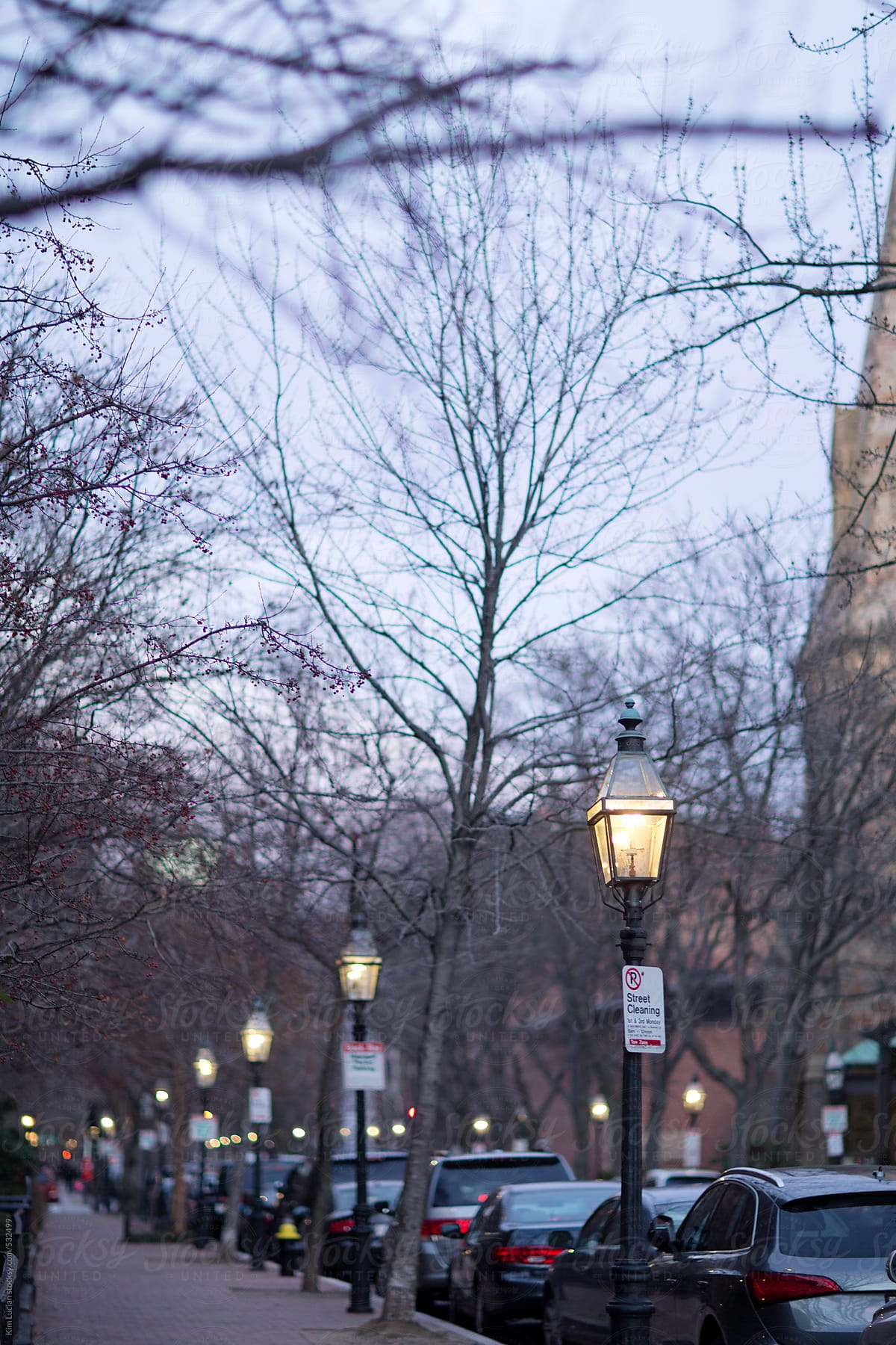 Street lamps at dusk in Boston