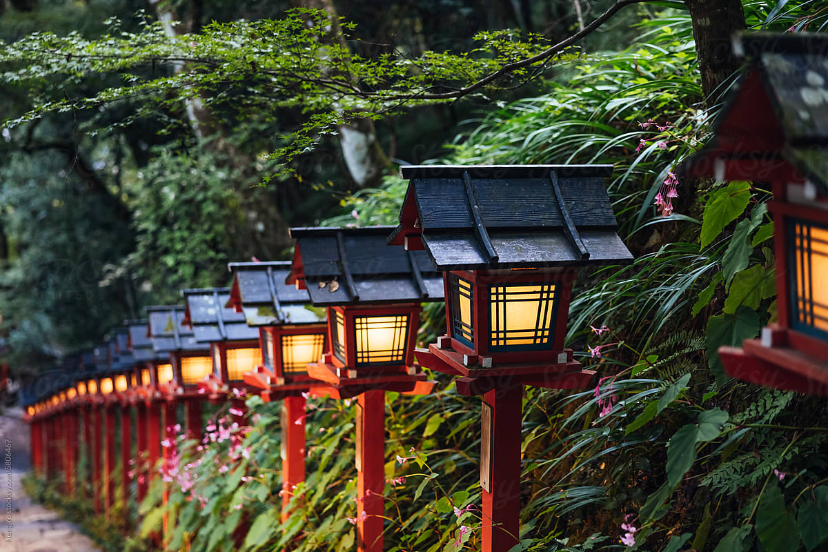Forest Lanterns in Bloom at Kifune Shrine