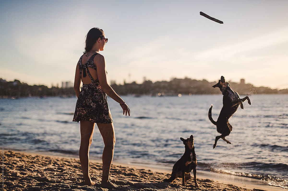 Woman at the beach with her active dogs