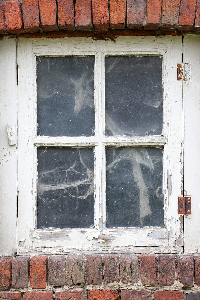 Window with cobwebs