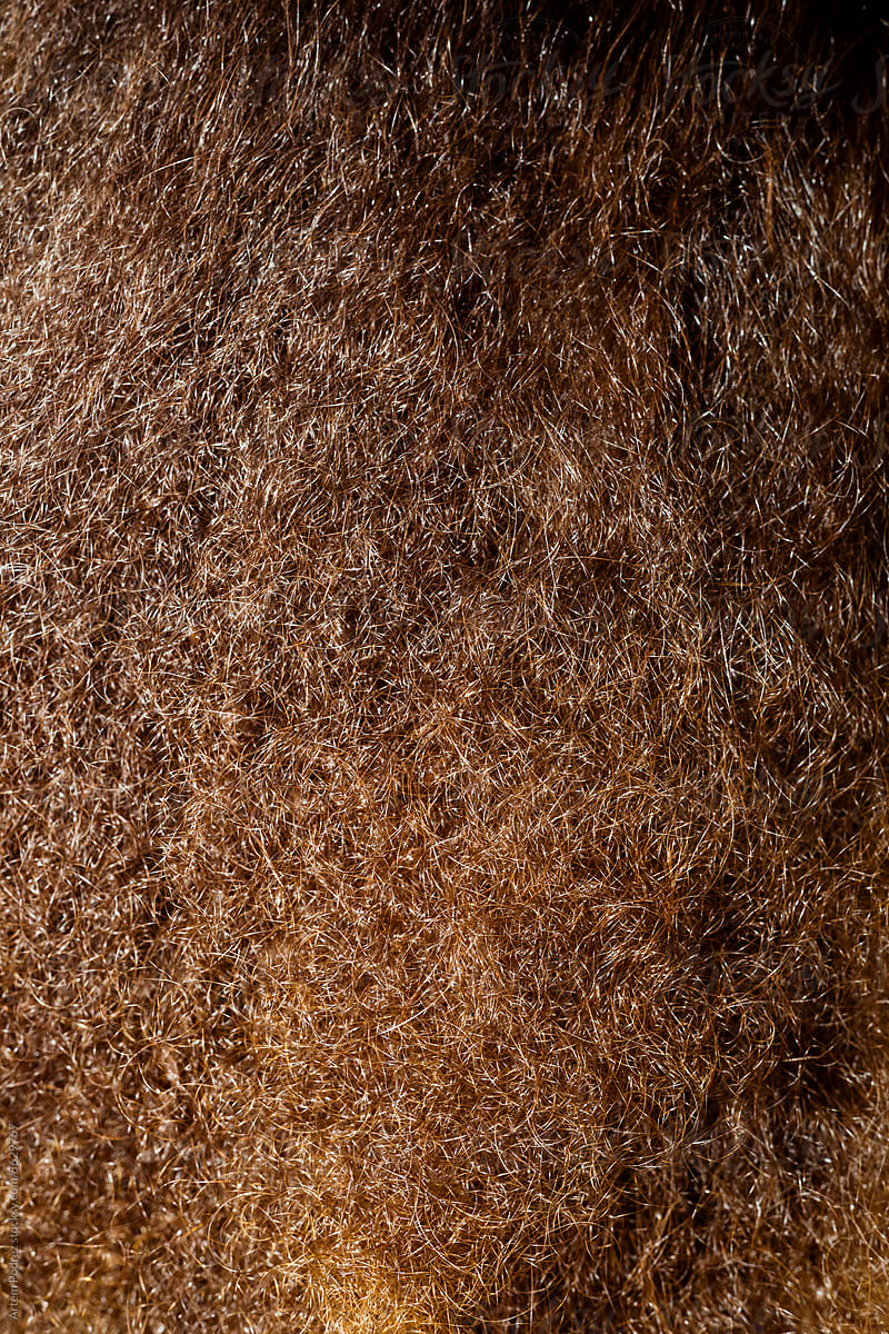Close-up texture of women\'s curly hair