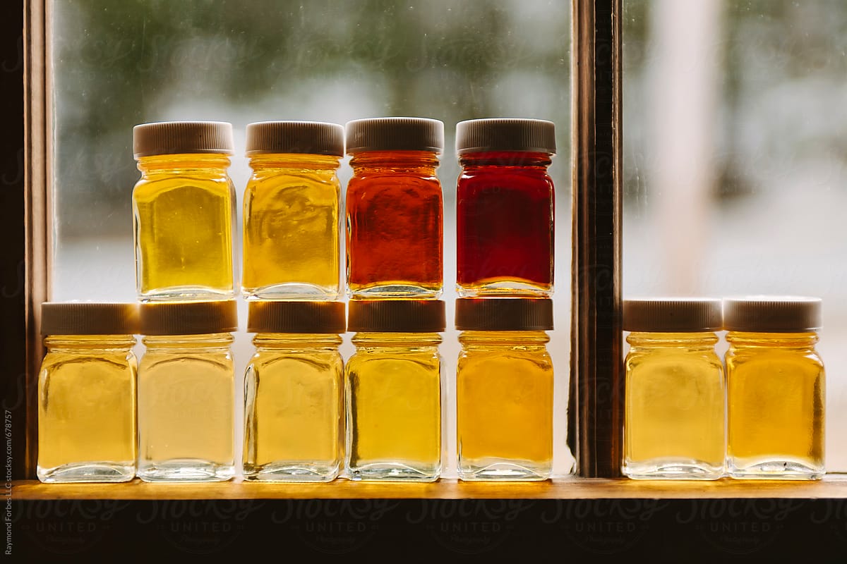 Maple Syrup Grade Display in Window of Sugar Shack