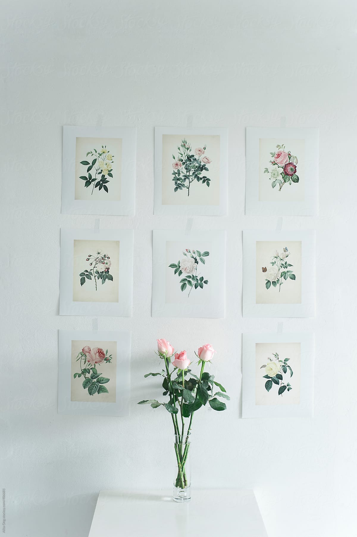 Roses and vintage wall deco