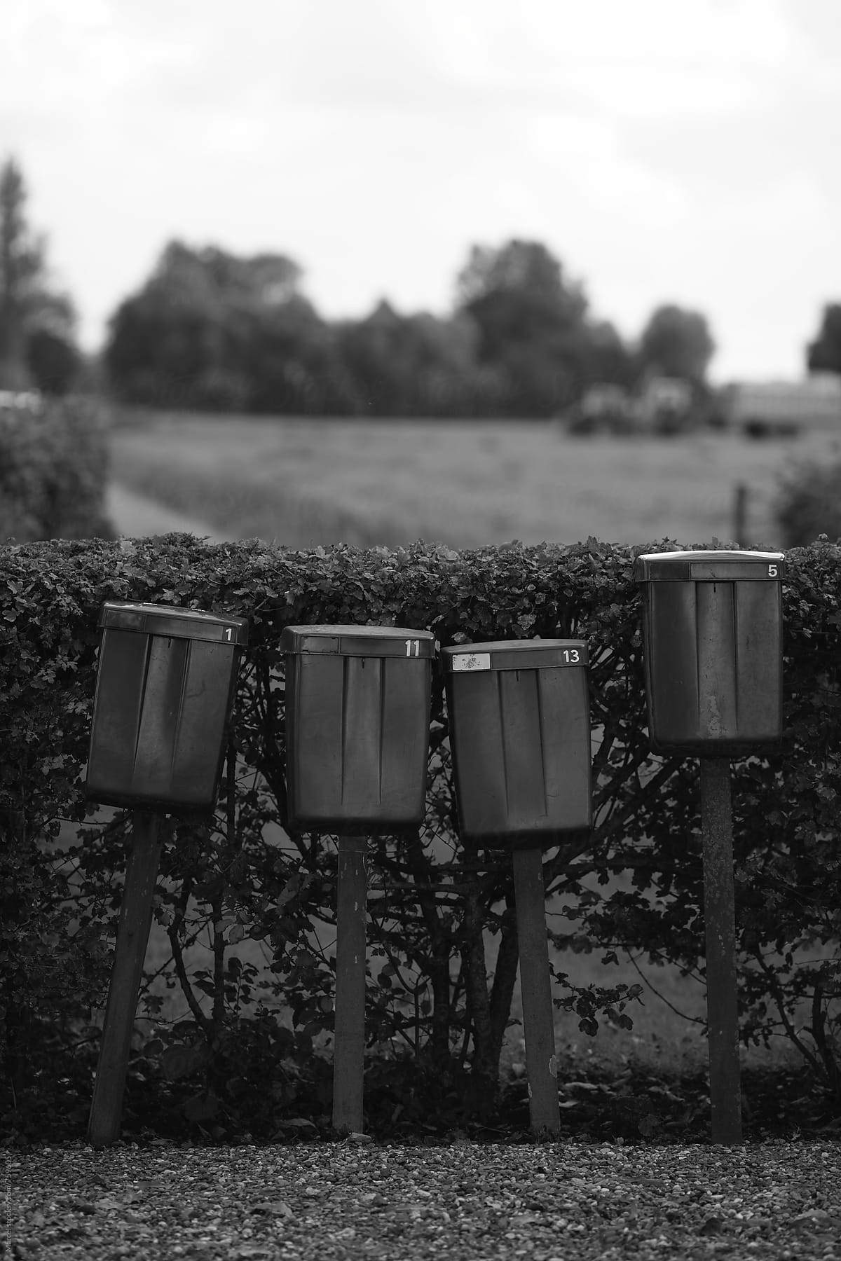 Rural Dutch mailboxes in black and white