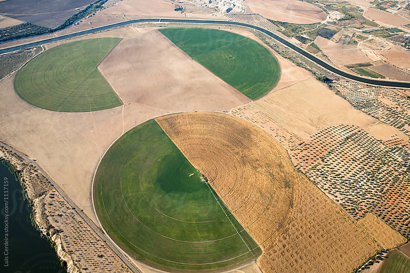 Aerial viw of crop circles