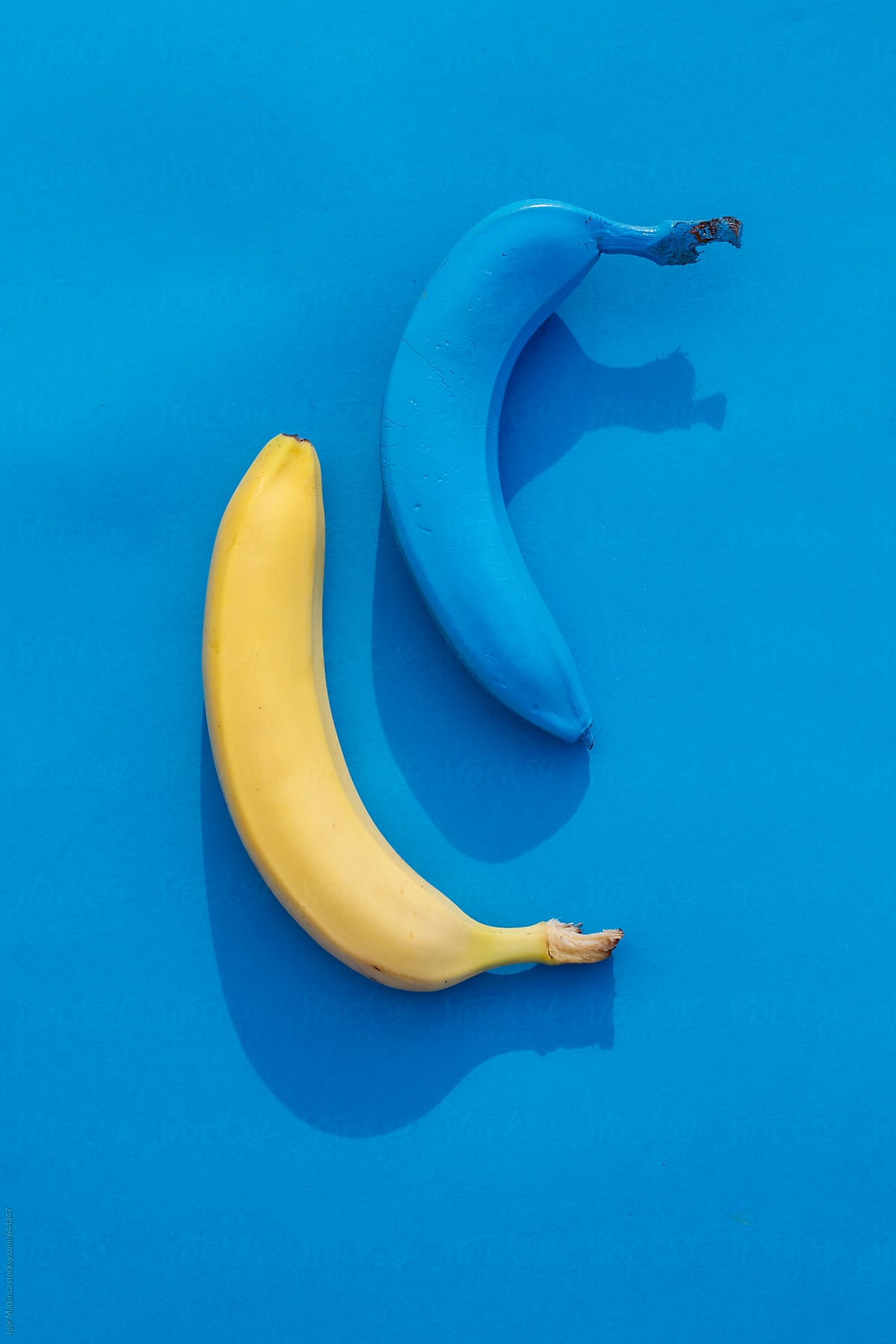 Blue And Yellow Banana On A Blue Background In The Sun by Stocksy  Contributor Igor Madjinca - Stocksy