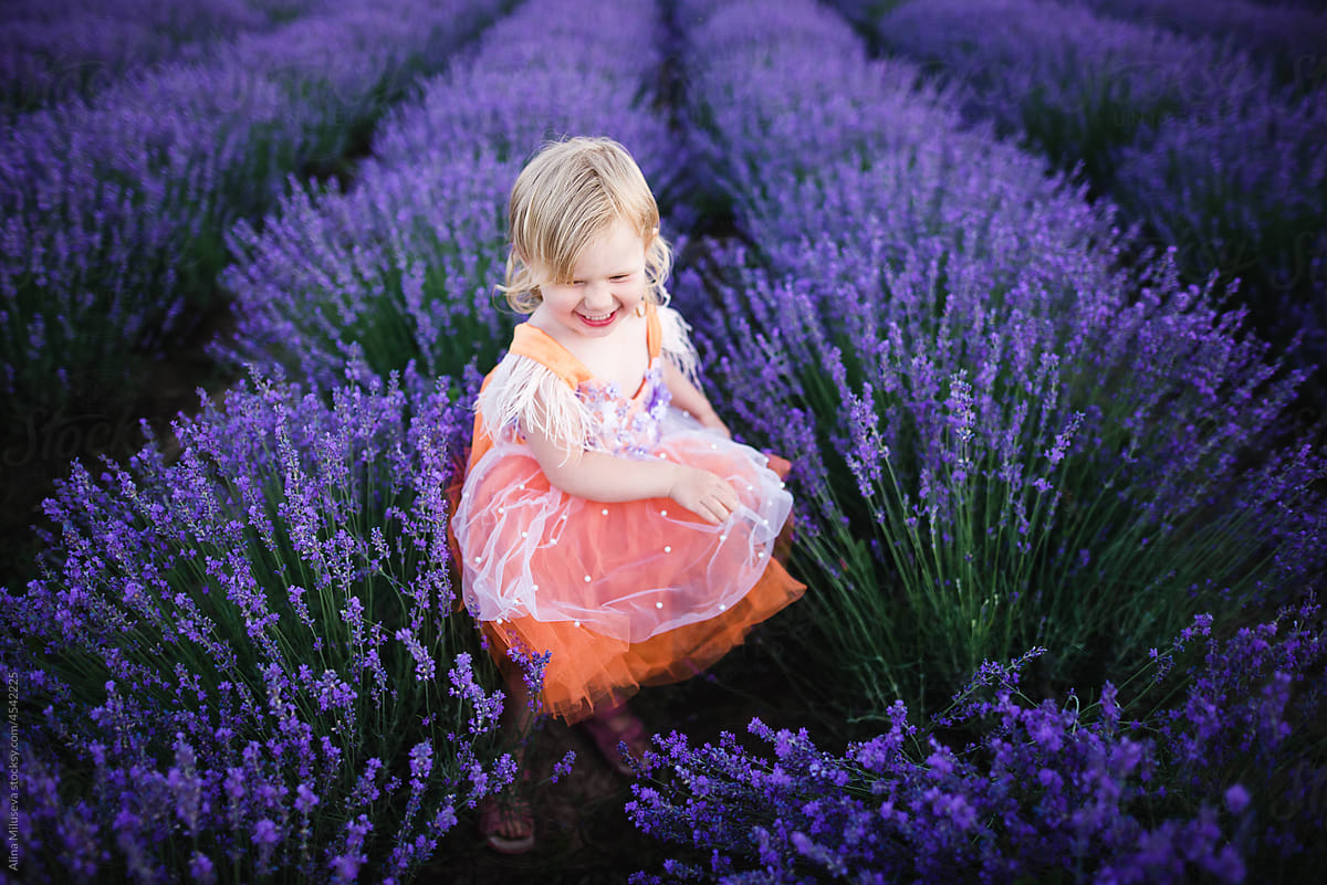 Portrait of gleeful little girl in blooming lavender field