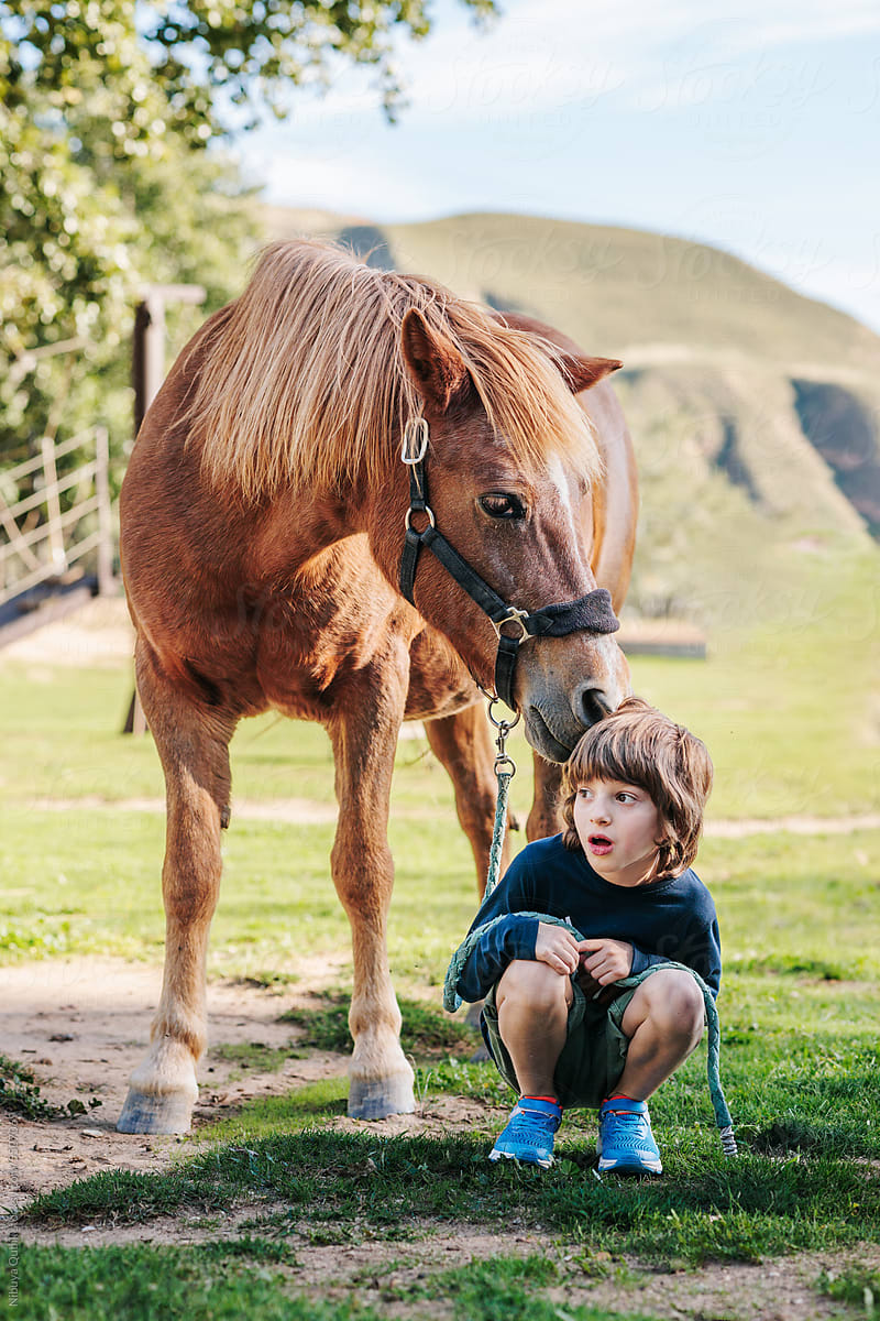 Therapy horse bonding with smiling boy with adhd