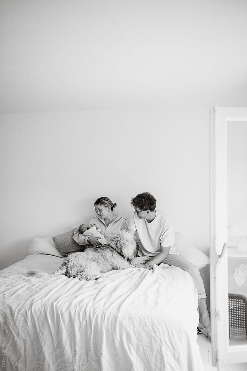 monochrome bedroom portrait of parents with their newborn and dog