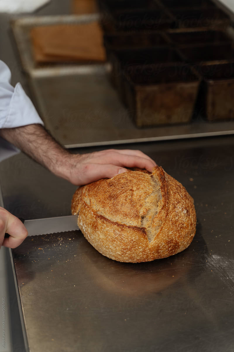 Cutting Fresh bread in bakery