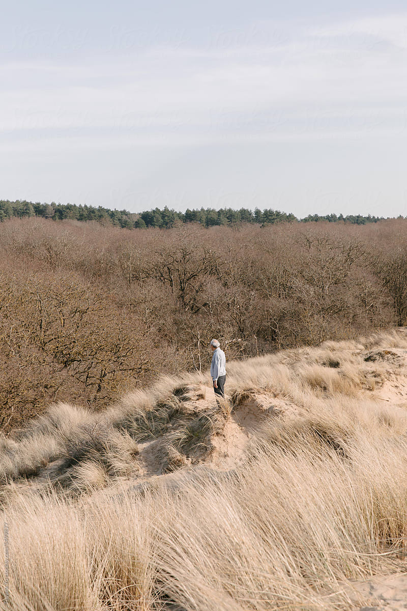 Solitary figure standing on grassy sand dune