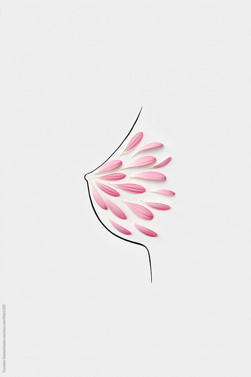 Pink flower petals neatly arranged on hand drawn female breast