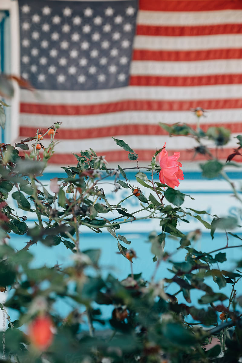 American Flag and Roses