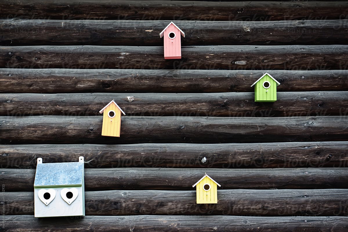 Colorful Bird Houses on a dark wooden wall
