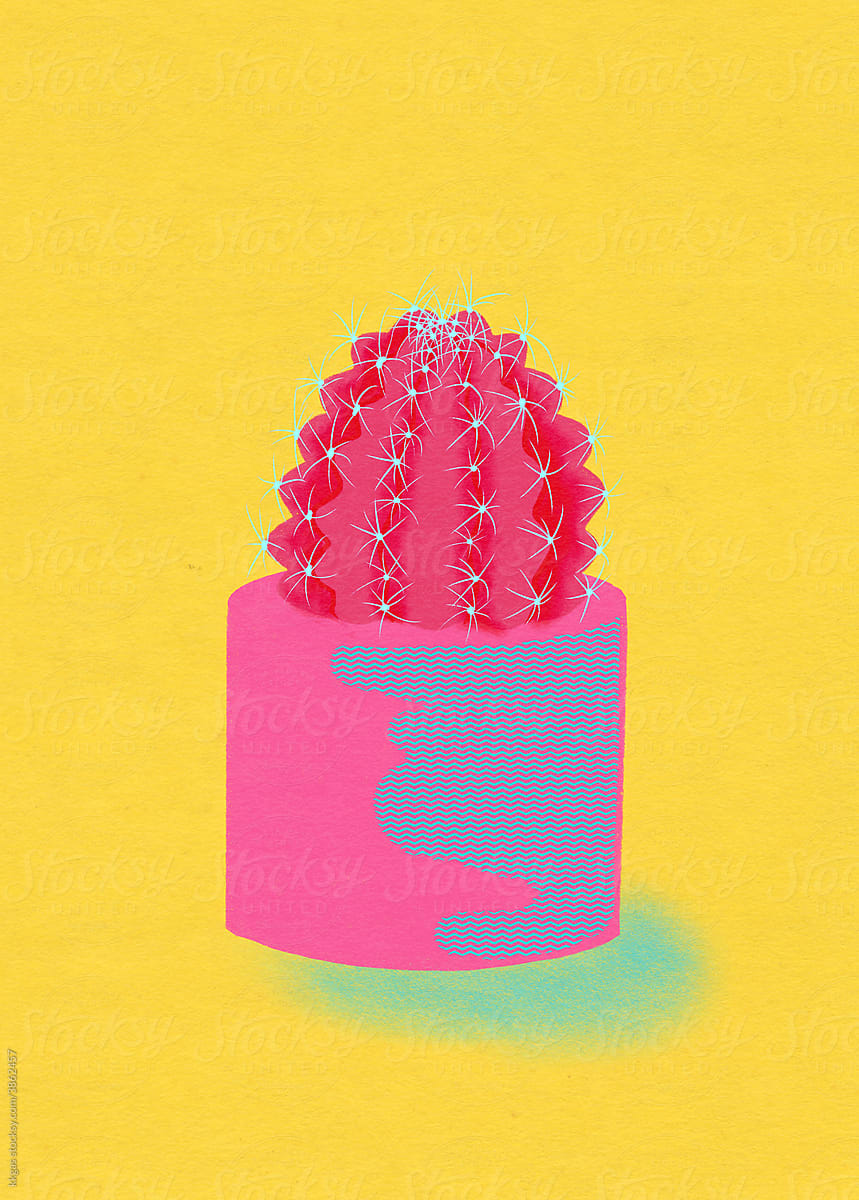 Barrel cactus illustration