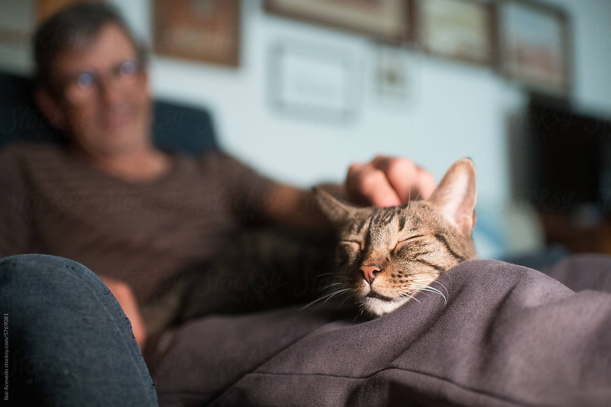 Sitting man caressing relaxed cat at home