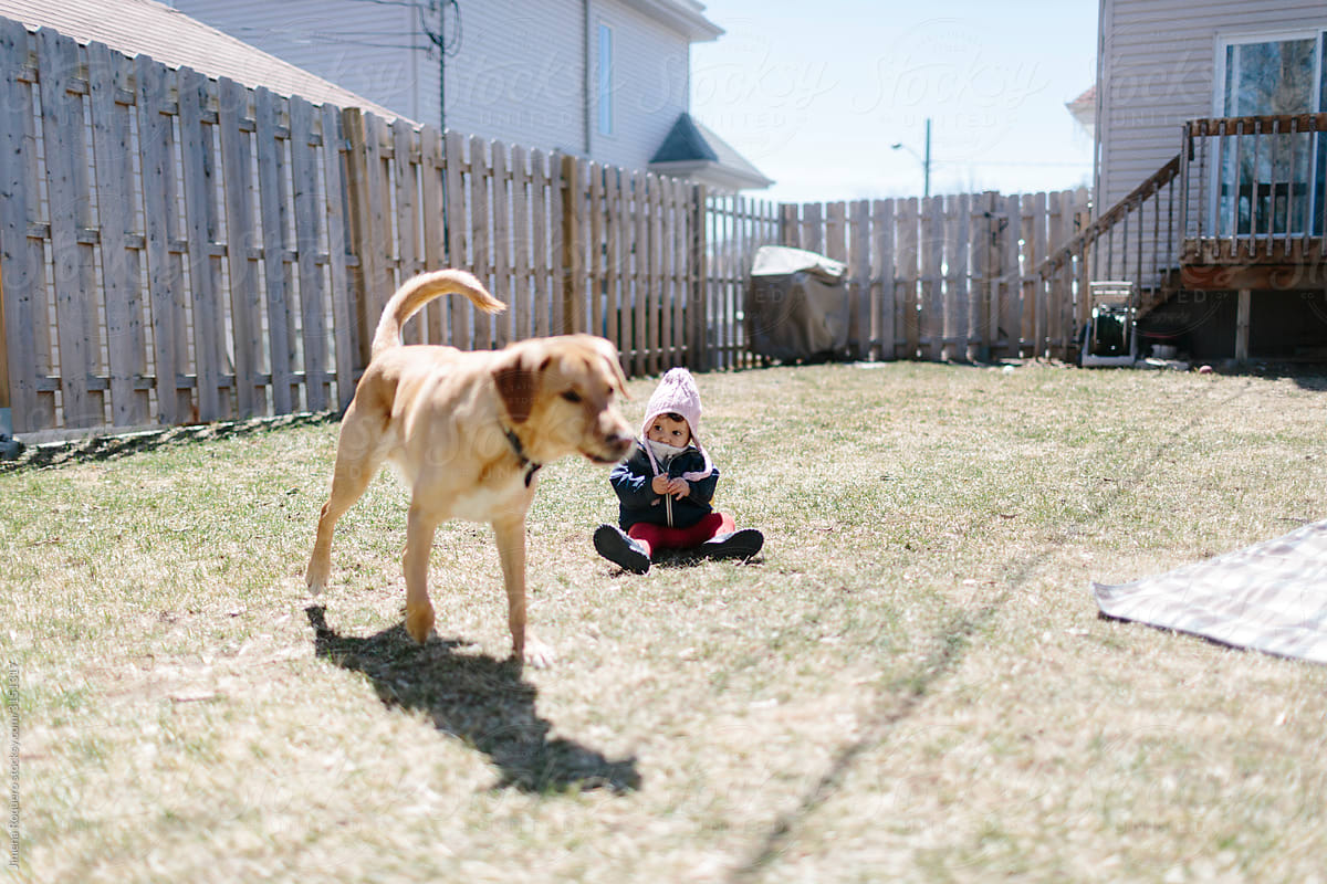 Kid and dog in backyard