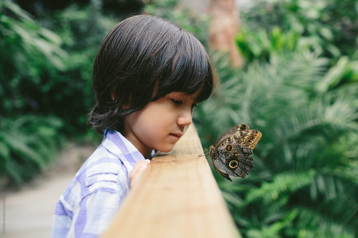 A Young Boy Spends A Quiet Closeup Moment With Butterfly