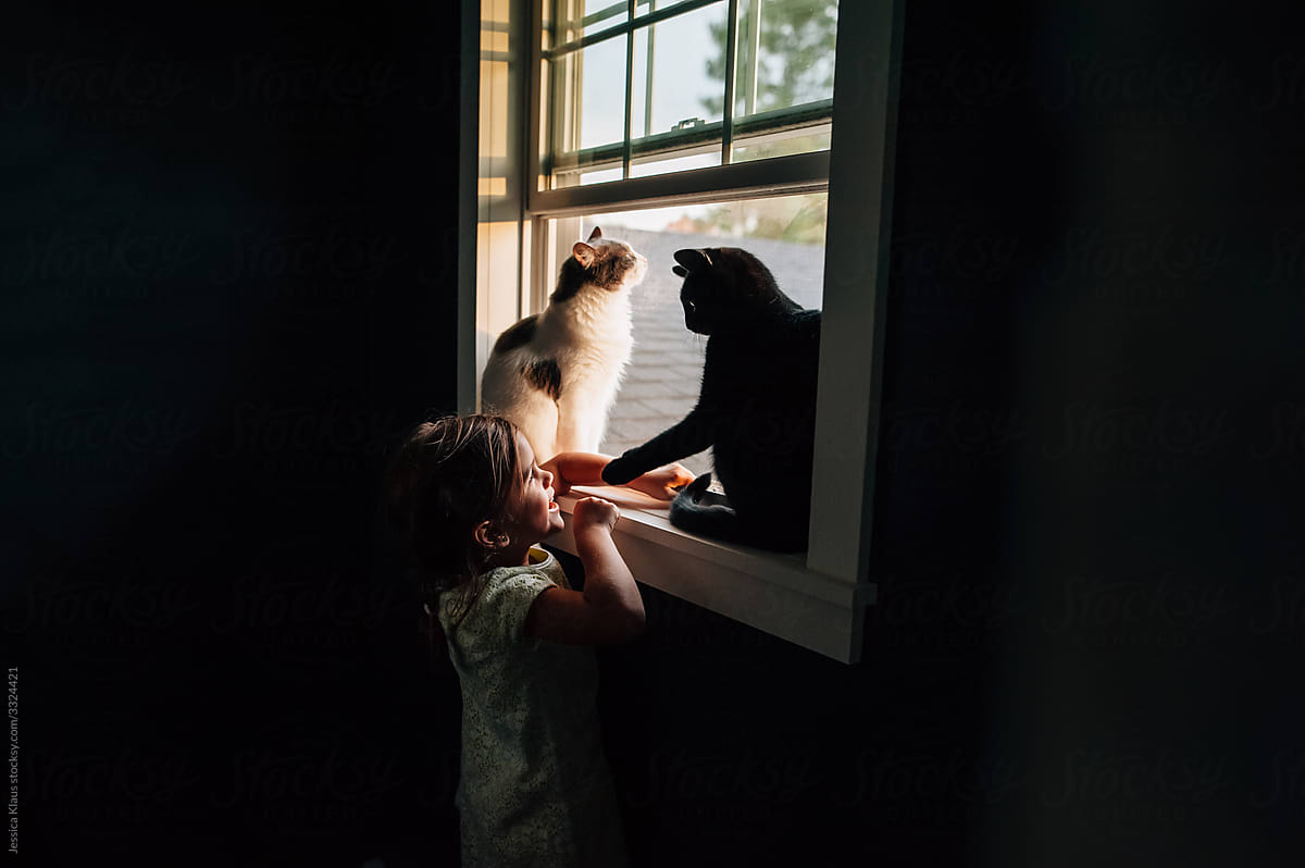 Little girl playing with cats in the window.
