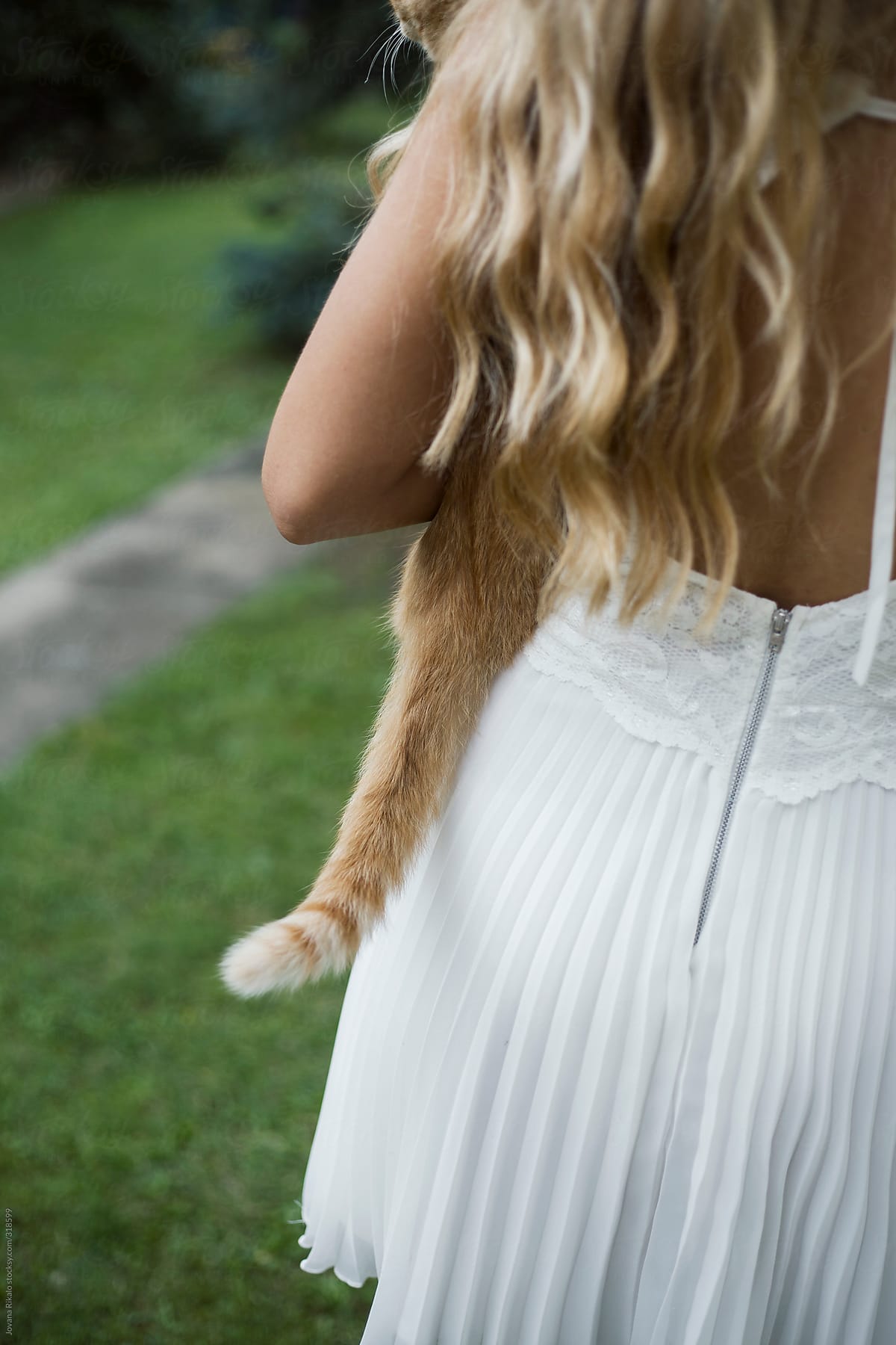 Back view of a young woman holding a little cat
