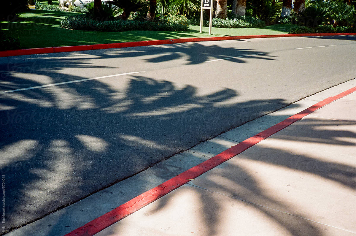 Film scan of a shadow of a palm tree on a road.