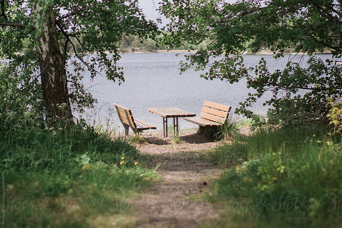 Path leading to lake with benches and table