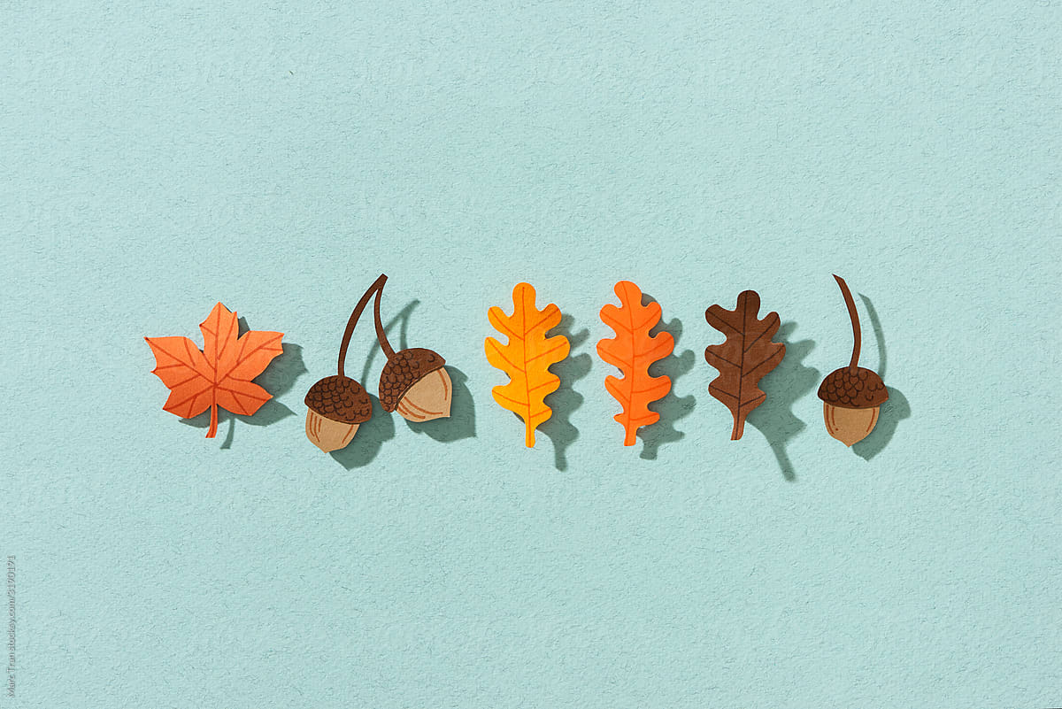 Colorful paper cut of an oak and a maple leaf, acorn.