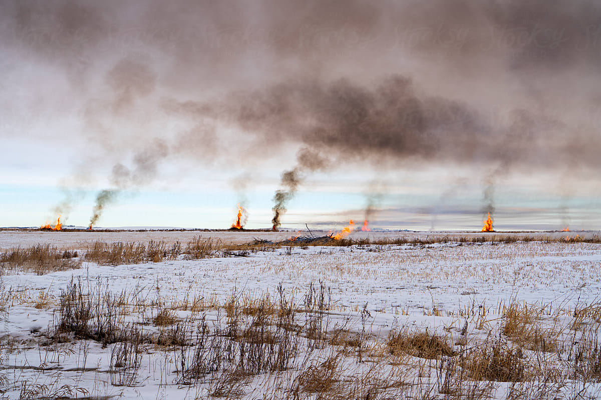 Fires burn in a field in rural Alberta, Canada.