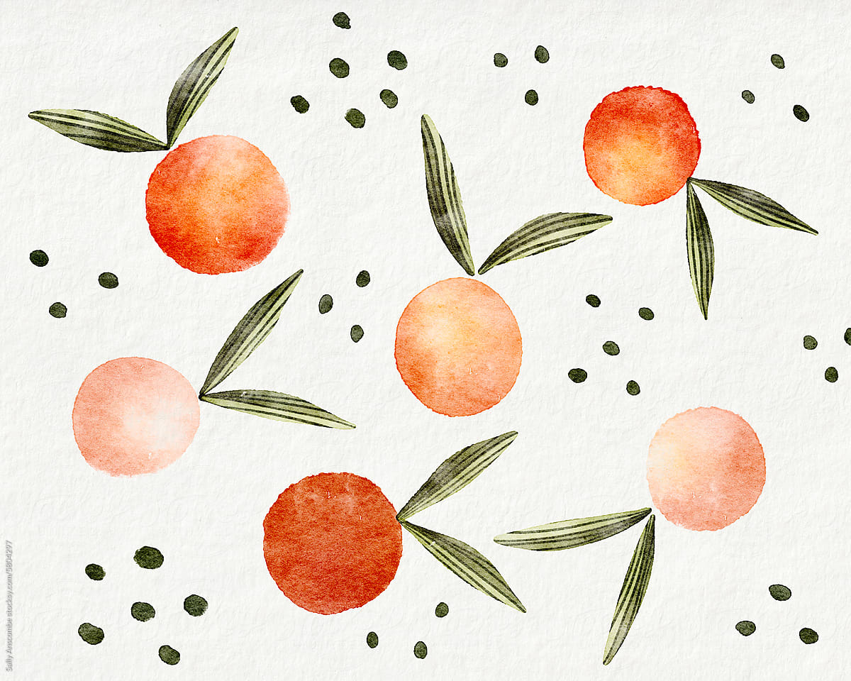 Orange fruit illustration