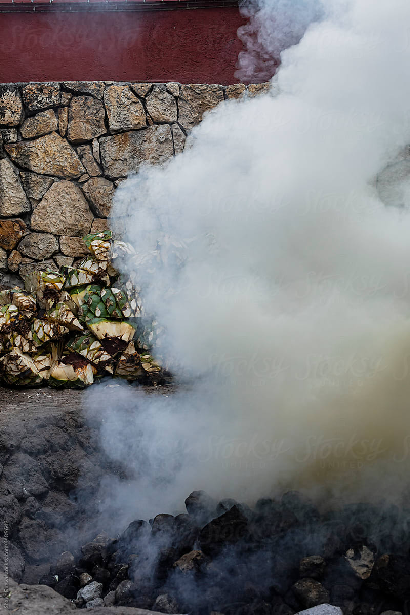 Smoke coming out of an oven with stones to cook agave for mezcal