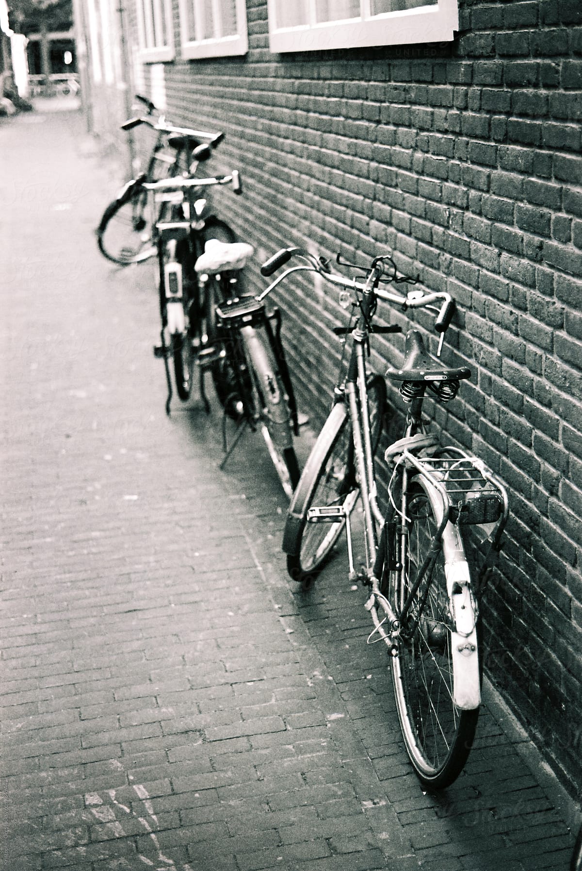 Dutch Bikes
