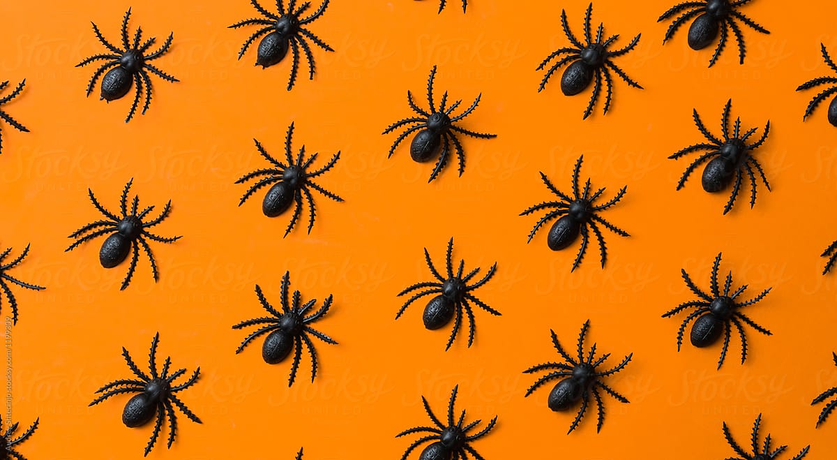 Small black spiders on orange background/miniature.