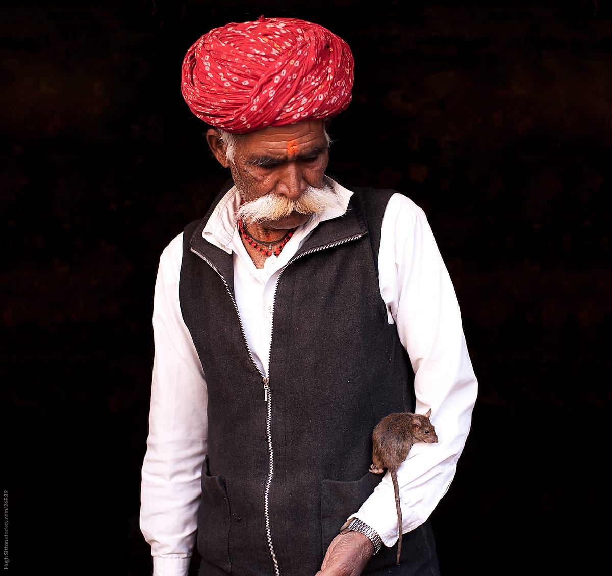 Rajasthani man with rat. Bikaner Rat Temple. Rajasthan. India